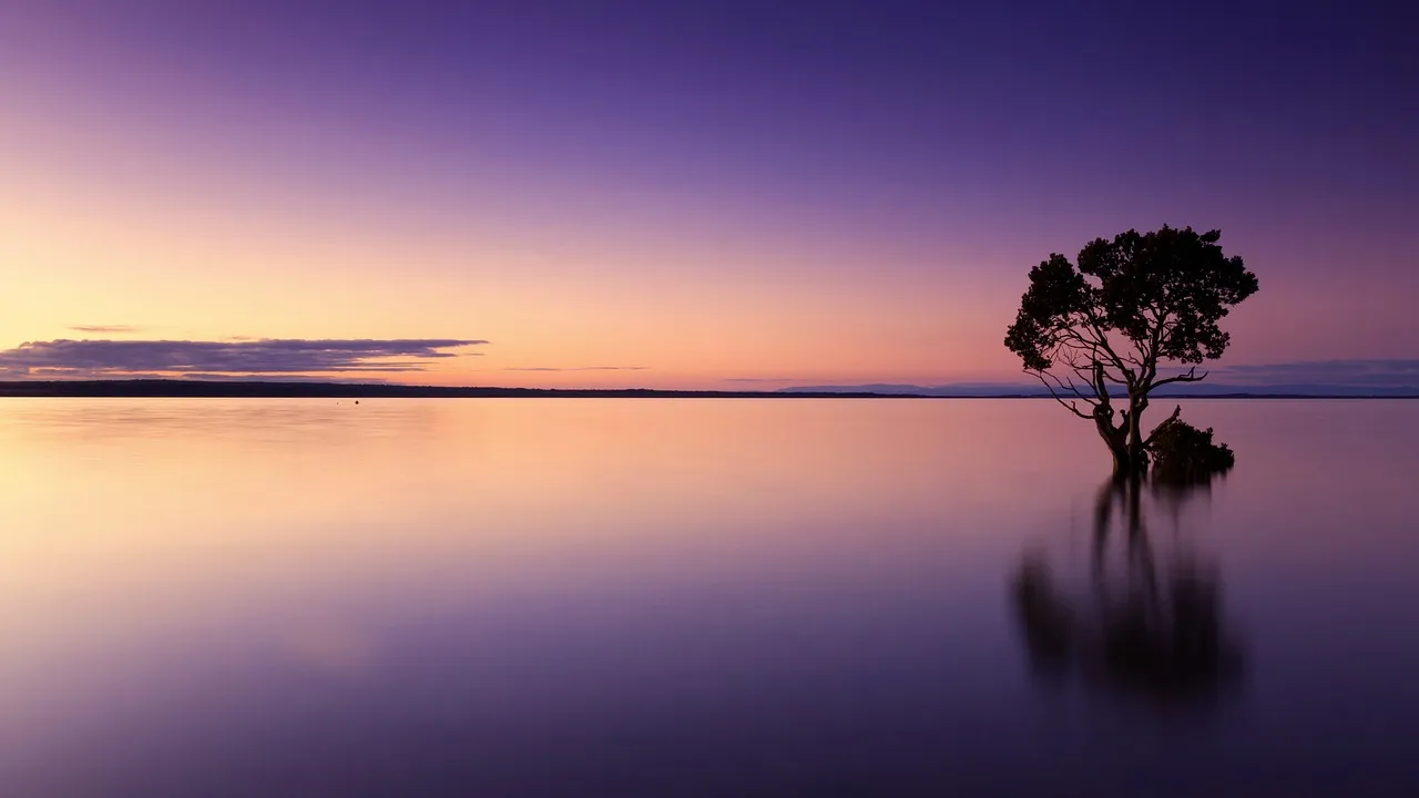 Finding Solace in Nature